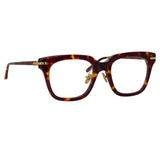 Empire Optical D-Frame in Tortoiseshell