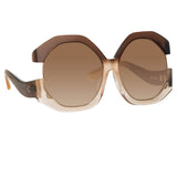 Bardot Oversized Sunglasses in Brown